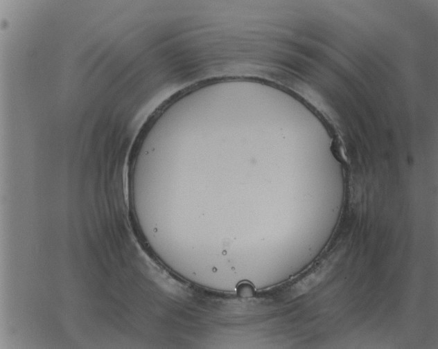 X0000062850988200601272037