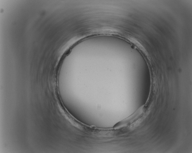 X0000062850989200601272037