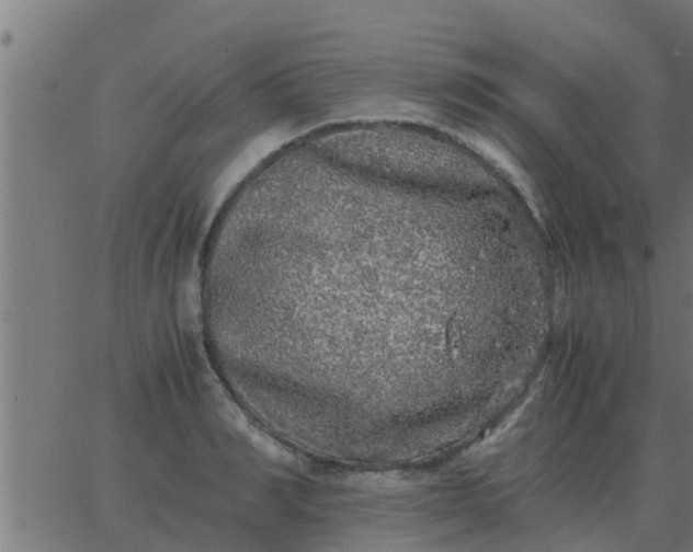 X0000062850990200601272037