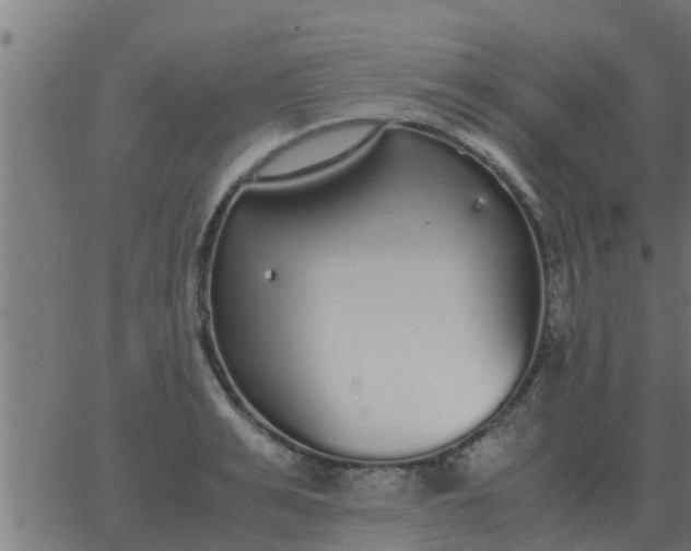 X0000062850991200601272037