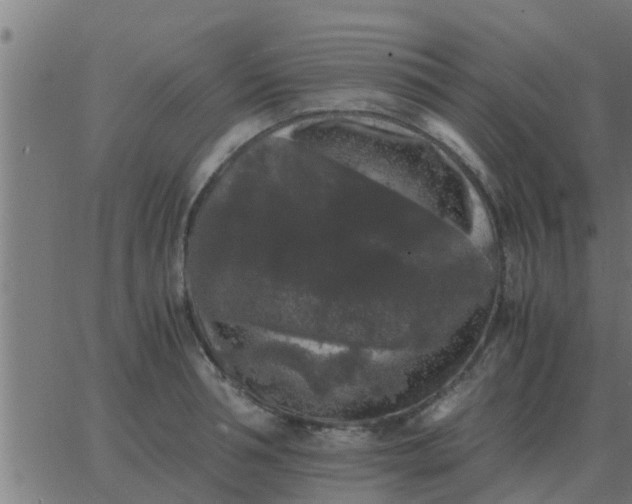 X0000062850994200601272037