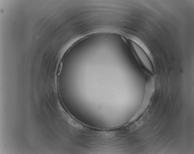 X0000062850996200601272037