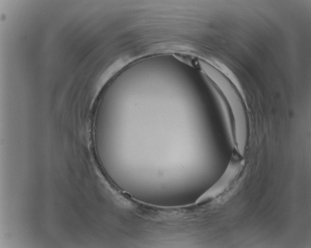 X0000062850997200601272037