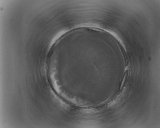 X0000062850998200601272037