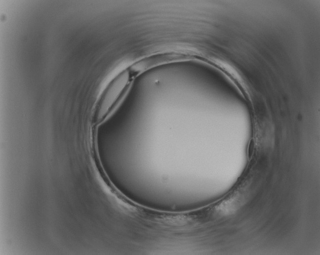 X0000062850999200601272037