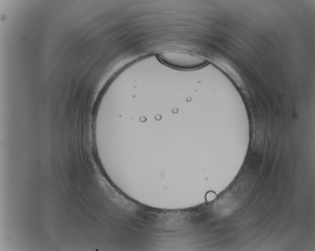 X0000062851000200601272037