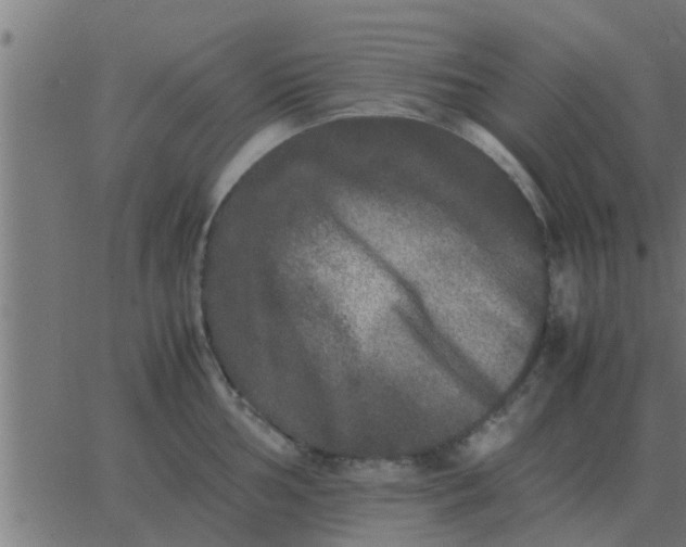 X0000062851002200601272037