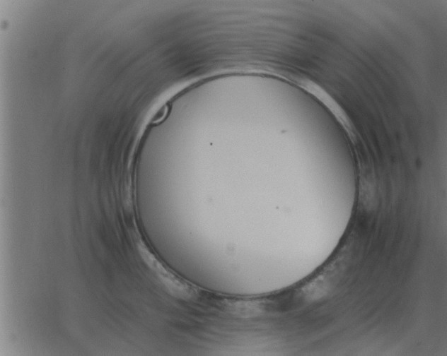 X0000062851004200601272036