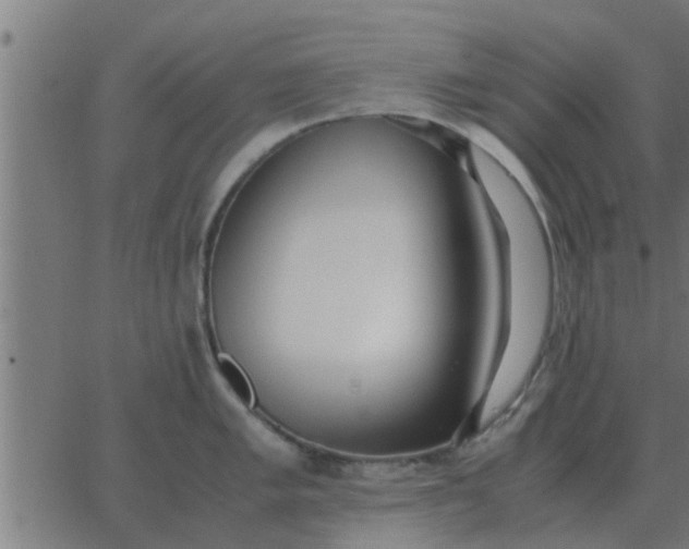 X0000062851005200601272036