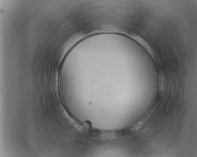 X0000062851006200601272036