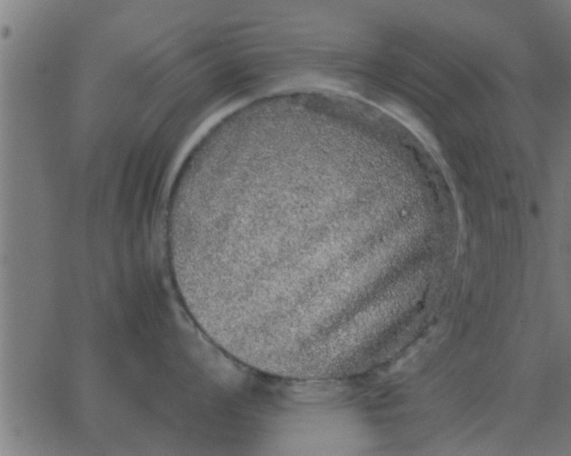 X0000062851008200601272036