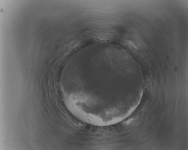 X0000062851009200601272036