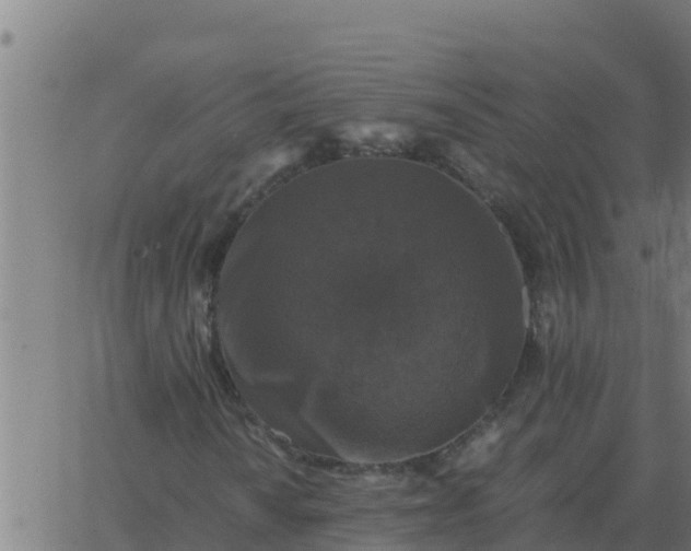 X0000062851010200601272036