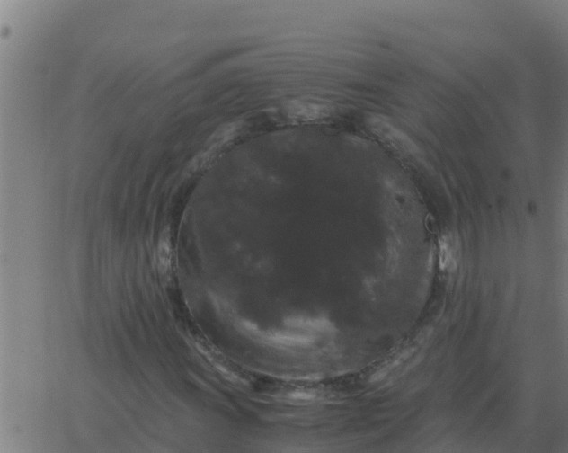 X0000062851011200601272036