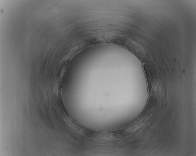 X0000062851012200601272036