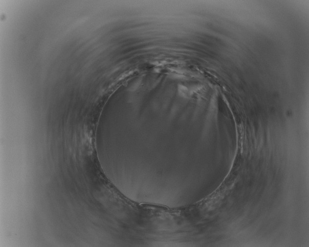 X0000062851013200601272036