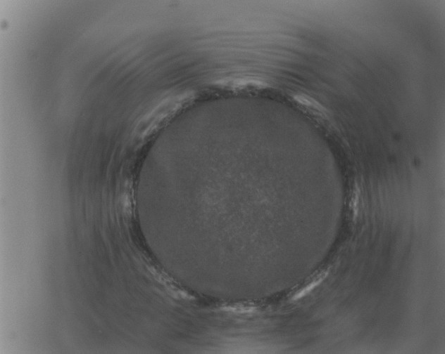 X0000062851014200601272036