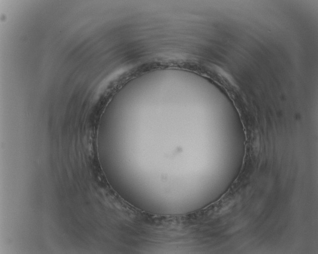 X0000062851016200601272036