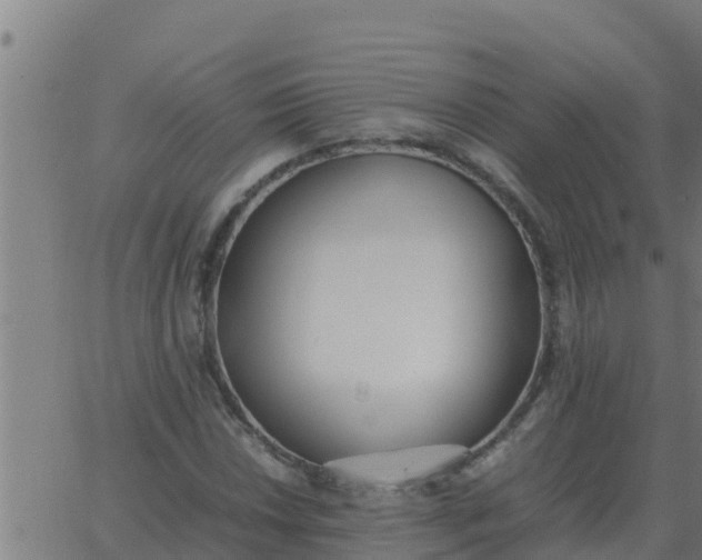 X0000062851018200601272036