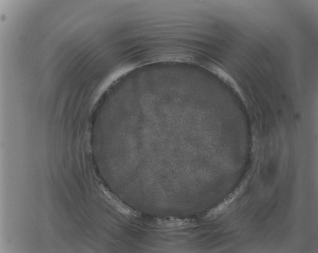 X0000062851019200601272036