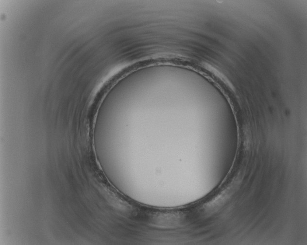 X0000062851021200601272036