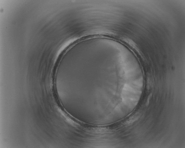 X0000062851024200601272036