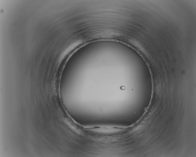 X0000062851026200601272036