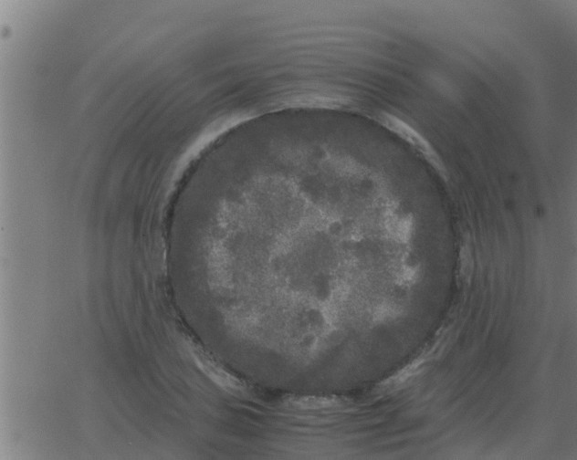 X0000062851027200601272036