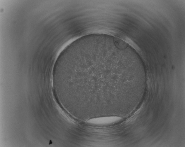 X0000062851028200601272036