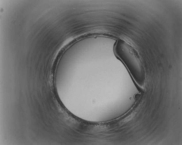 X0000062851029200601272036