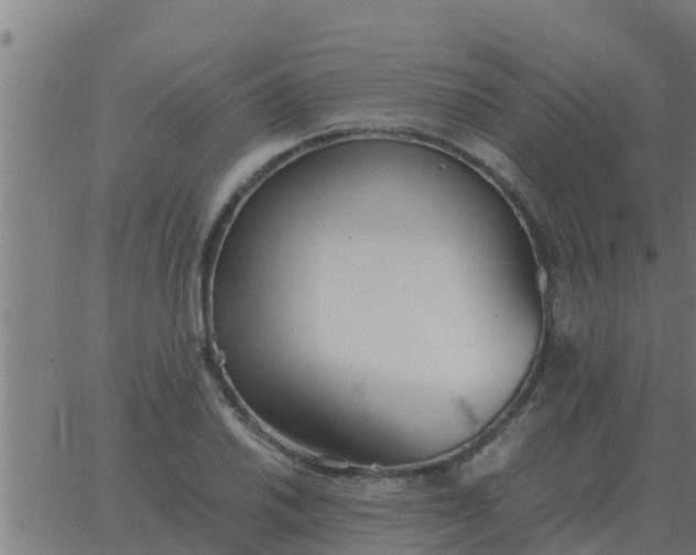 X0000062851030200601272036