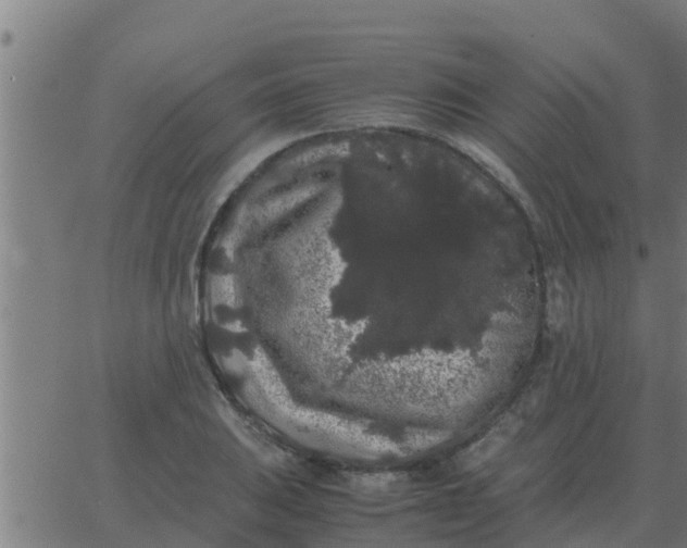 X0000062851031200601272036