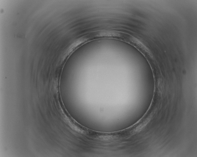 X0000062851033200601272036