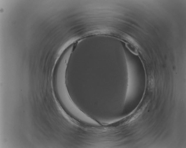 X0000062851034200601272036