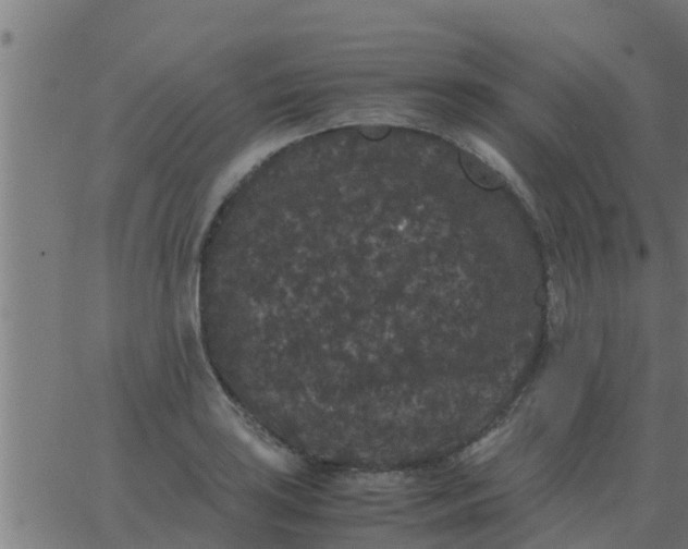 X0000062851035200601272036