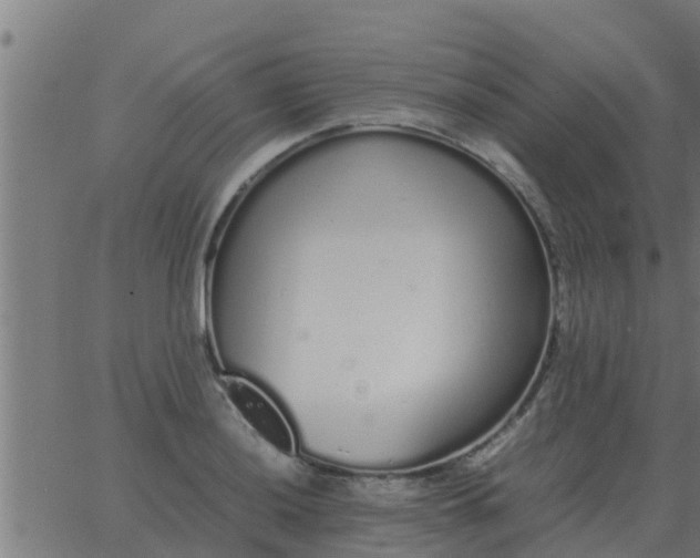 X0000062851036200601272036