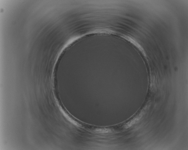 X0000062851037200601272036