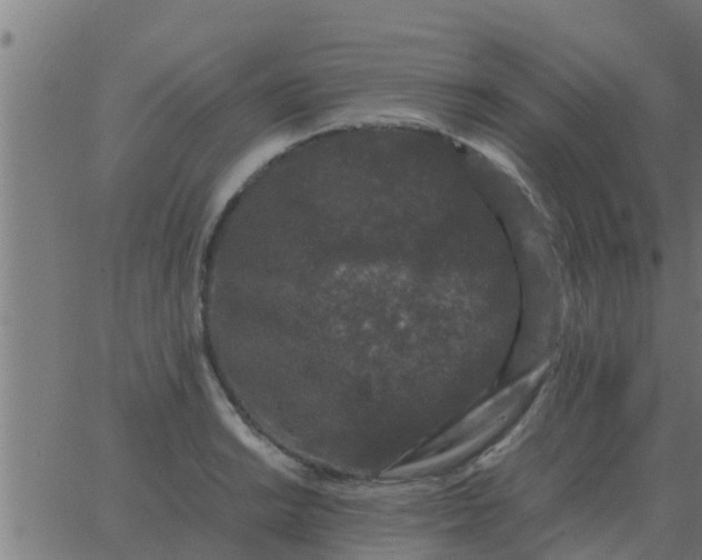 X0000062851038200601272036