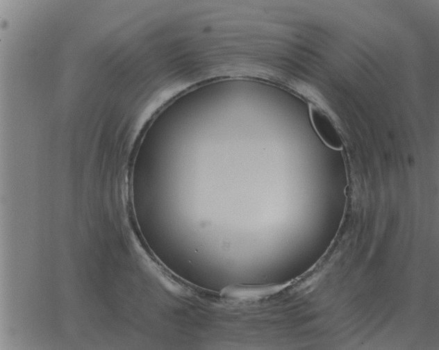 X0000062851040200601272036