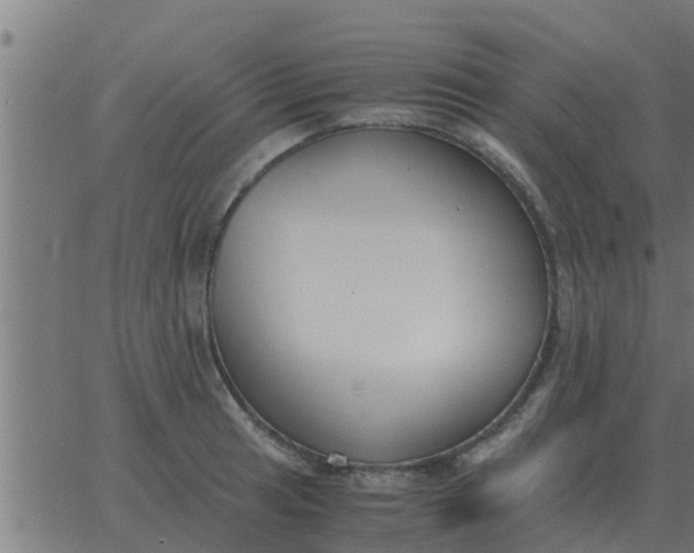 X0000062851041200601272036