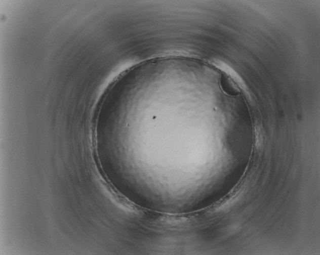 X0000062851043200601272036