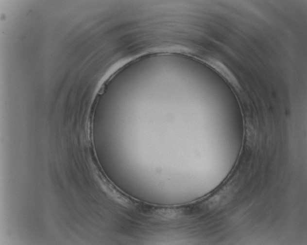 X0000062851044200601272036