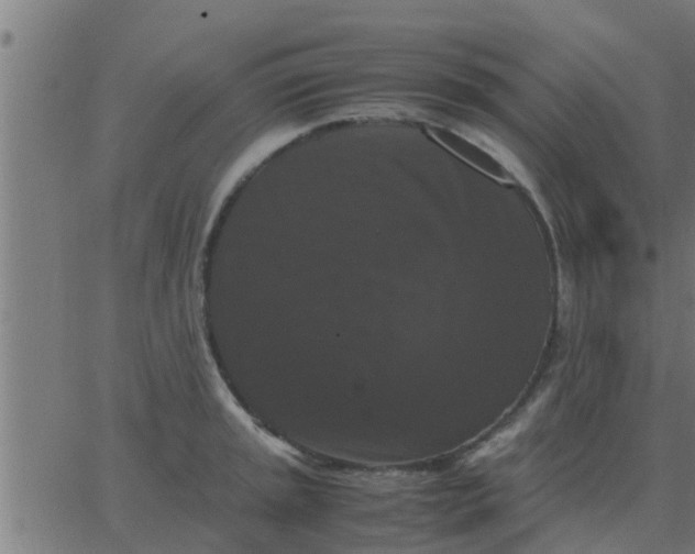 X0000062851045200601272036