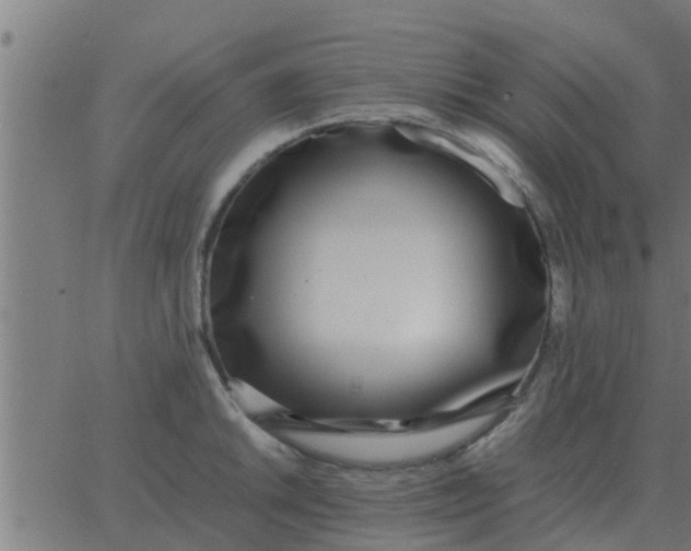 X0000062851046200601272036