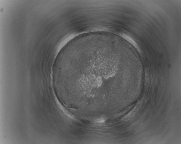 X0000062851047200601272036