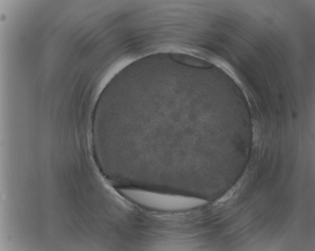 X0000062851048200601272036