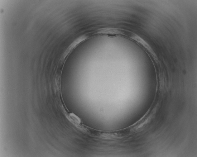 X0000062851049200601272036