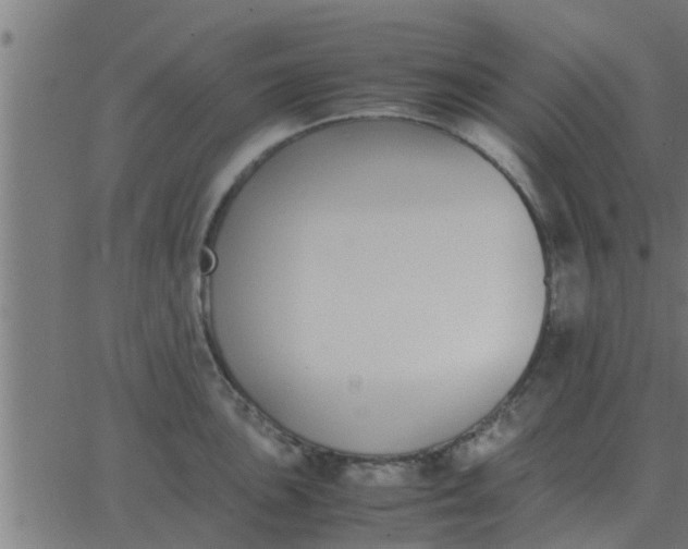 X0000062851051200601272036