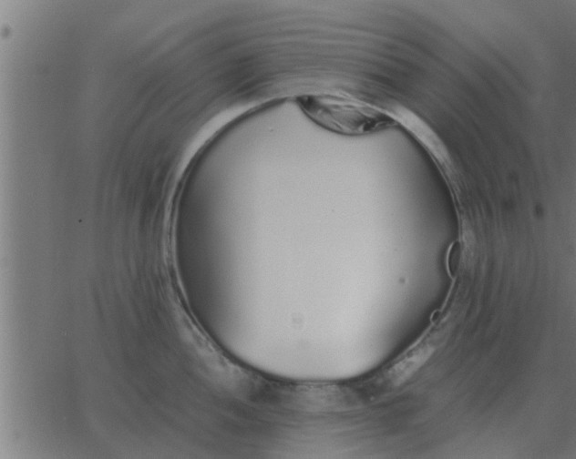 X0000062851052200601272036