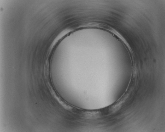 X0000062851053200601272036